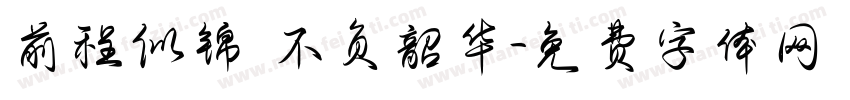 前程似锦 不负韶华字体转换